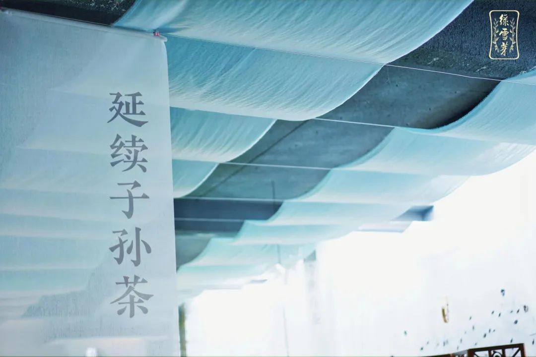 庄园白茶